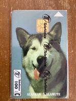 Privat Telefonkarte Spanien Hund originalverpackt