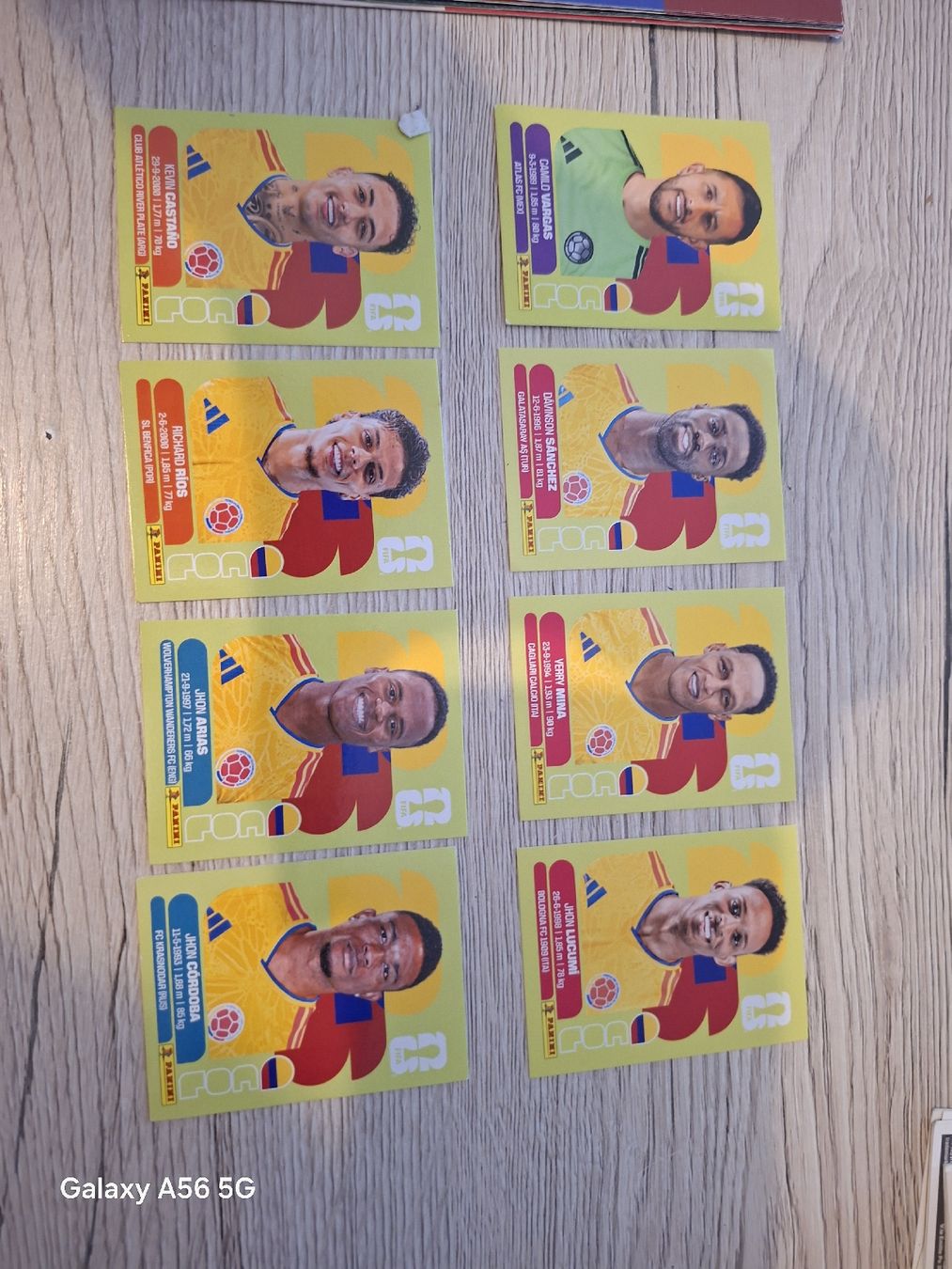 Panini Sammelbilder & Trading cards: panini col – Neu und originalverpackt aus Vionnaz von NMNB 1