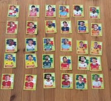 Panini