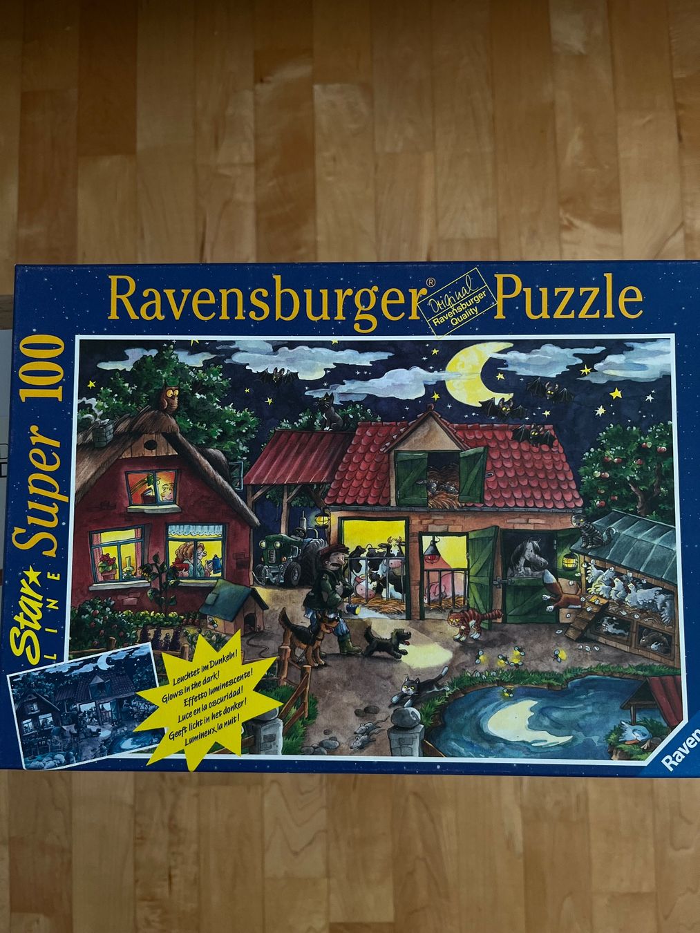 Ravensburger Puzzle: Puzzles von Ravensburger – Usato da Hinteregg venduto da Sell-and-Buy20