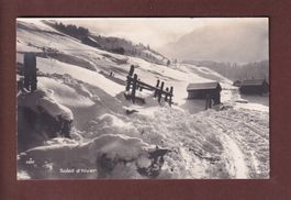 SOLEIL D'HIVER - 1917