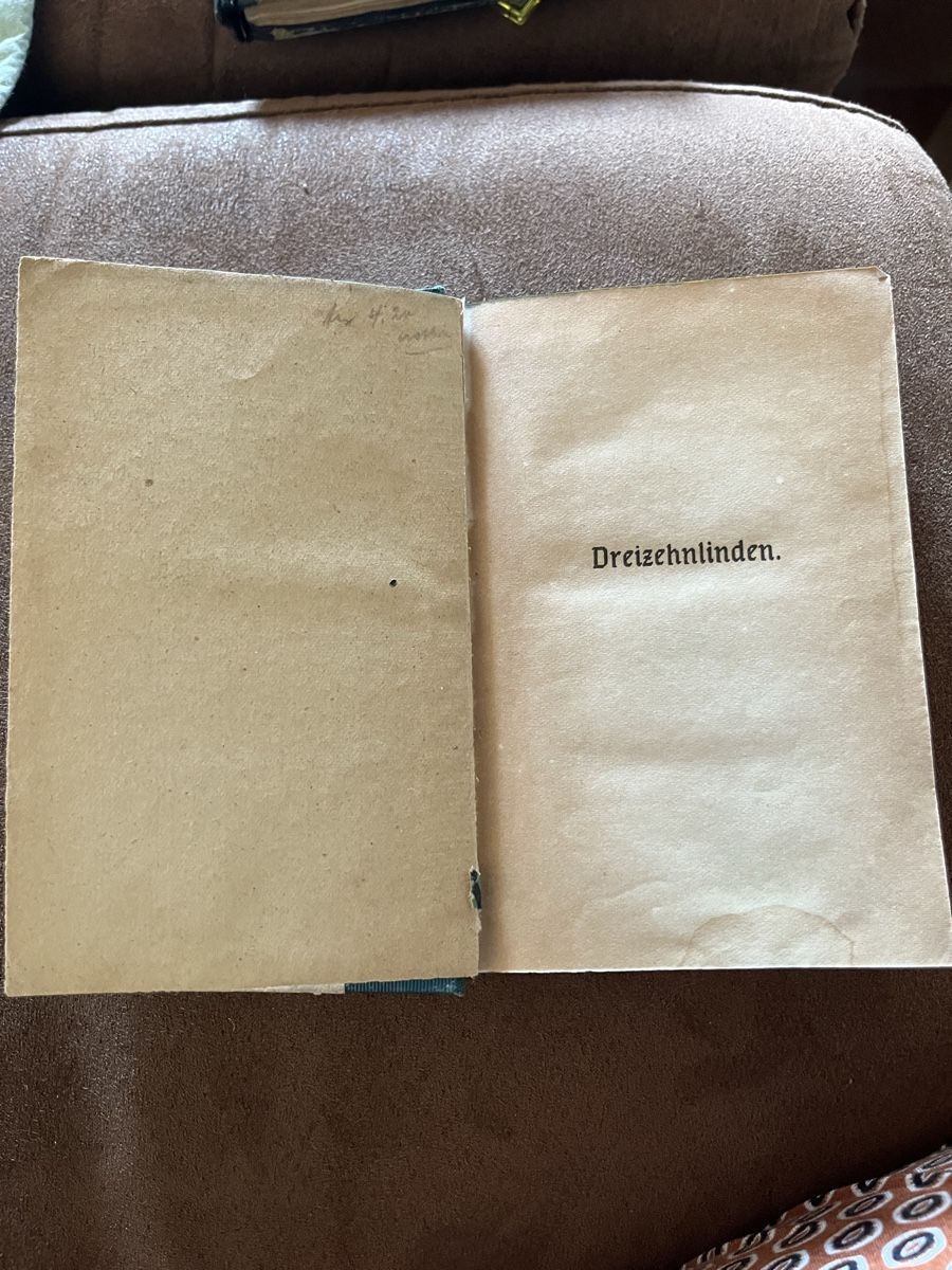 Libri: Libro antico "Dreizehnlinden" F. W. Weber,  – Usato da Novaggio venduto da Sabi-Pearl 2
