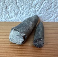 Donnerkeil   ---  Fossil der Rügener Kreide        2 Stück