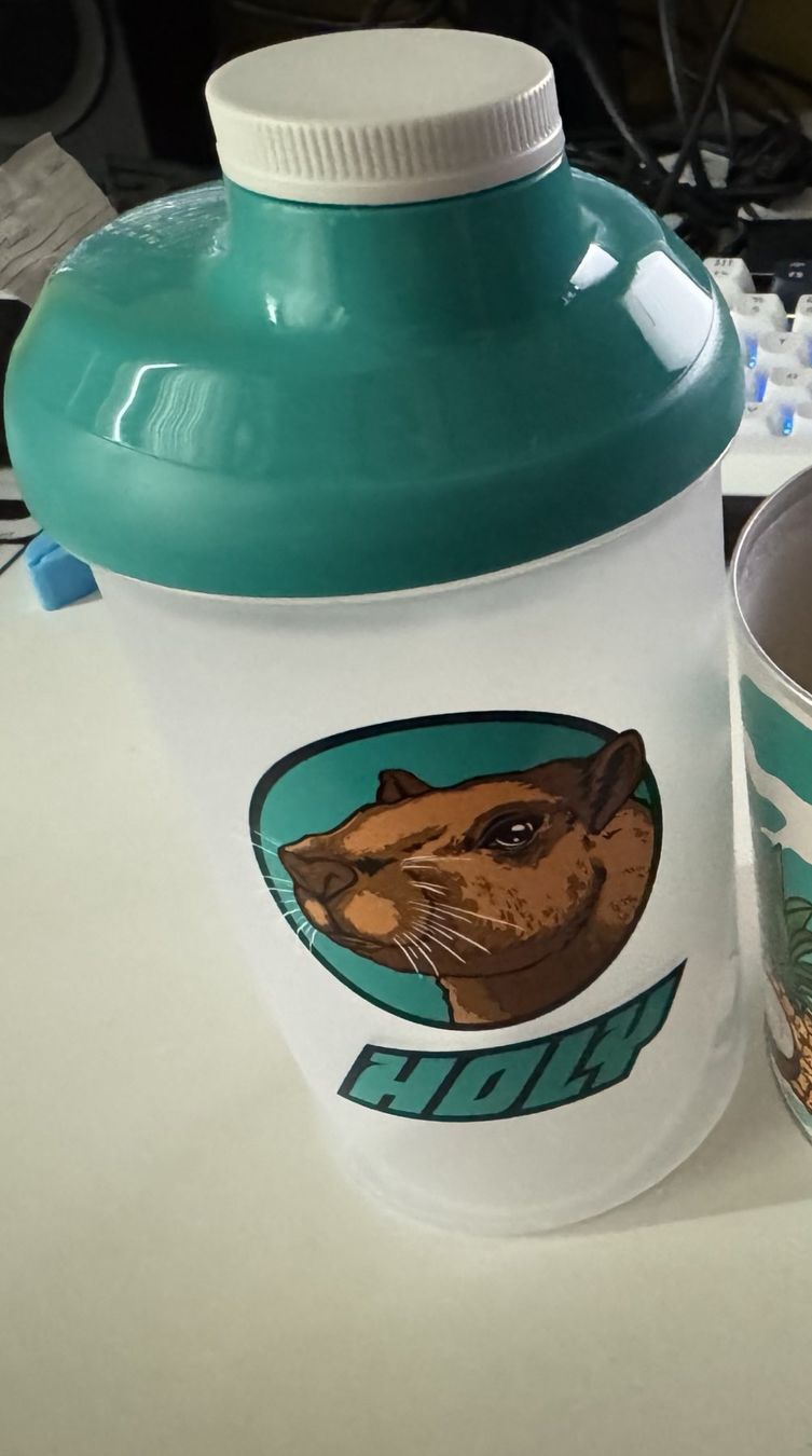 Holy Flasche Capybara Colada (Neu (gemäss Beschreibung)) in Luzern für ...