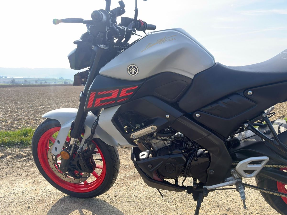 Yamaha Strada: Yamaha MT-125 Auktion  ab 10.- CHF – Usato da Dachsen venduto da Patrick-ZH 5