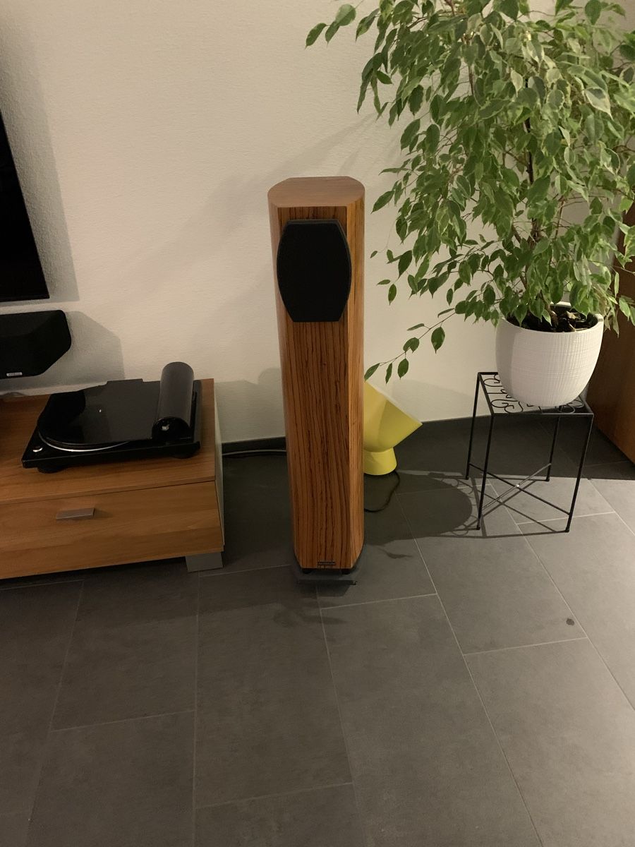 Casse acustiche: Audium Comp 5 Standlautsprecher, guter Zustand – Usato da Tägerwilen venduto da tsc_6sg6 1