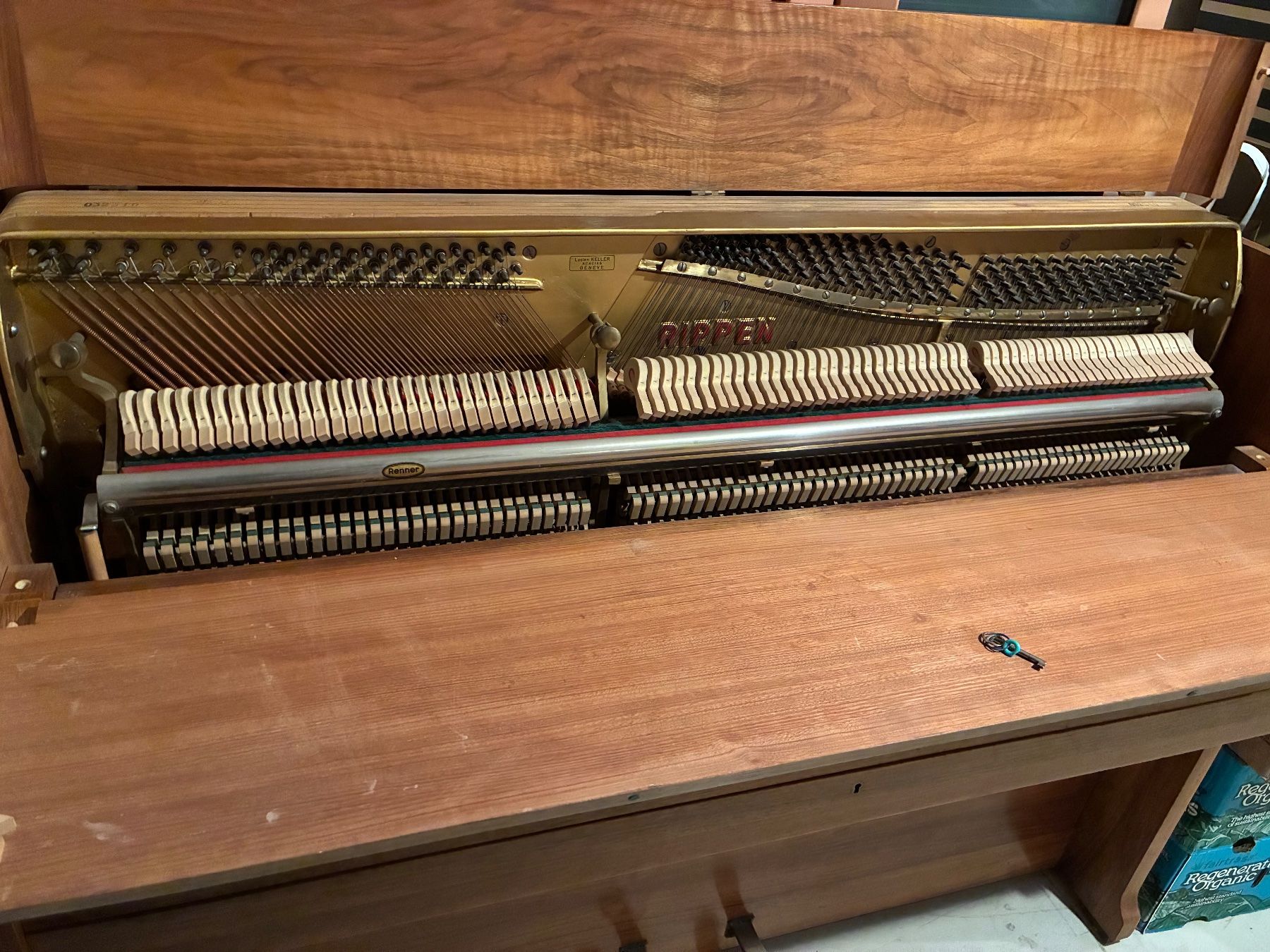 Strumenti musicali: Piano Rippen Carillon 1958 – Usato da St-Prex venduto da Nexu5 4