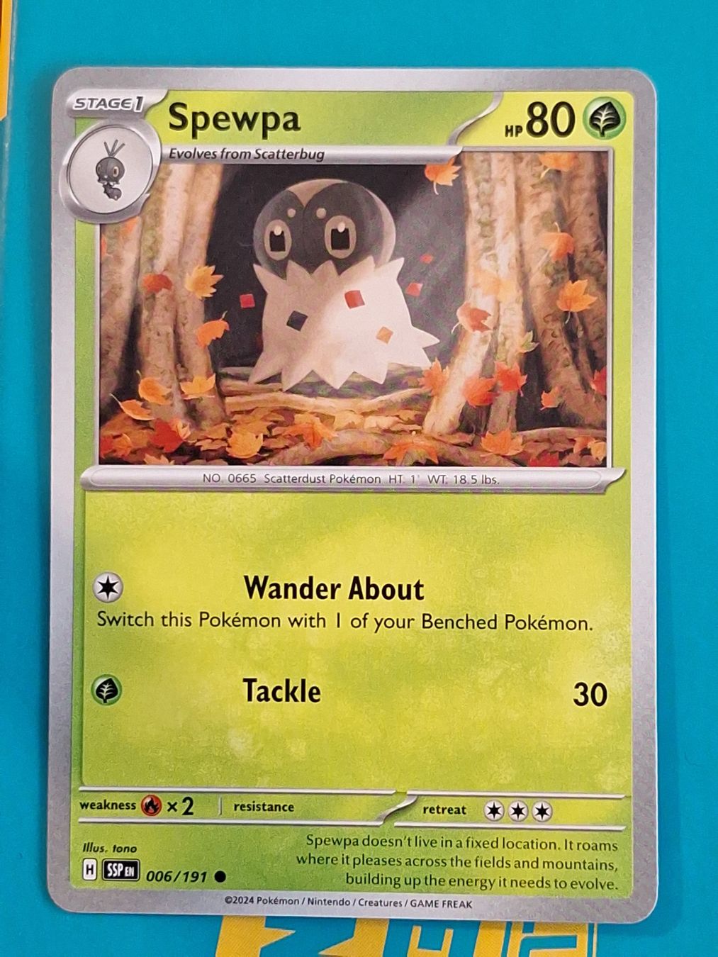 Pokémon Carte collezionabili: Spewpa - Pokemon Surging Sparks – Usato da Altstätten SG venduto da GGsGameshop