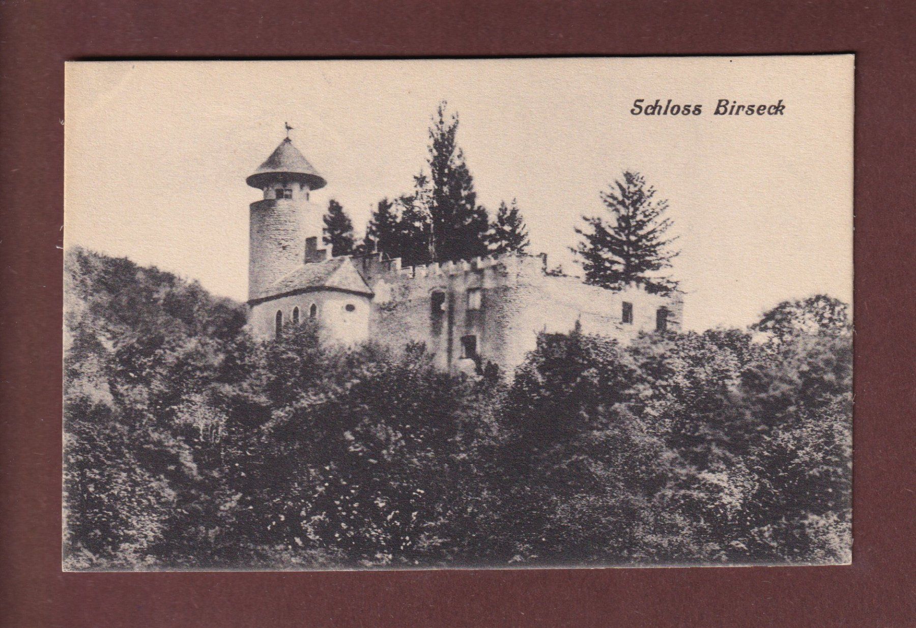 Ansichtskarten: Schloss BIRSECK – Gebraucht aus Pully von nicecards-shop