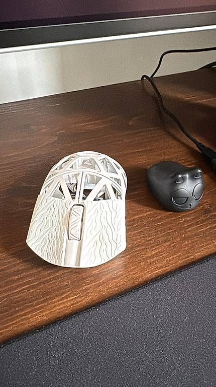 Mouse: NEU WI Maus beast x pro – Usato da Oberstammheim venduto da riis_sz