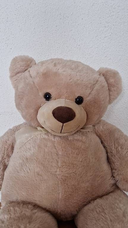 Migros Giocattoli: Grosser Teddybär 95cm – Usato da Hedingen venduto da Seikai 1