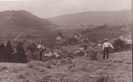 Landwirtschaft Tavannes Vue du Vion Heuernte