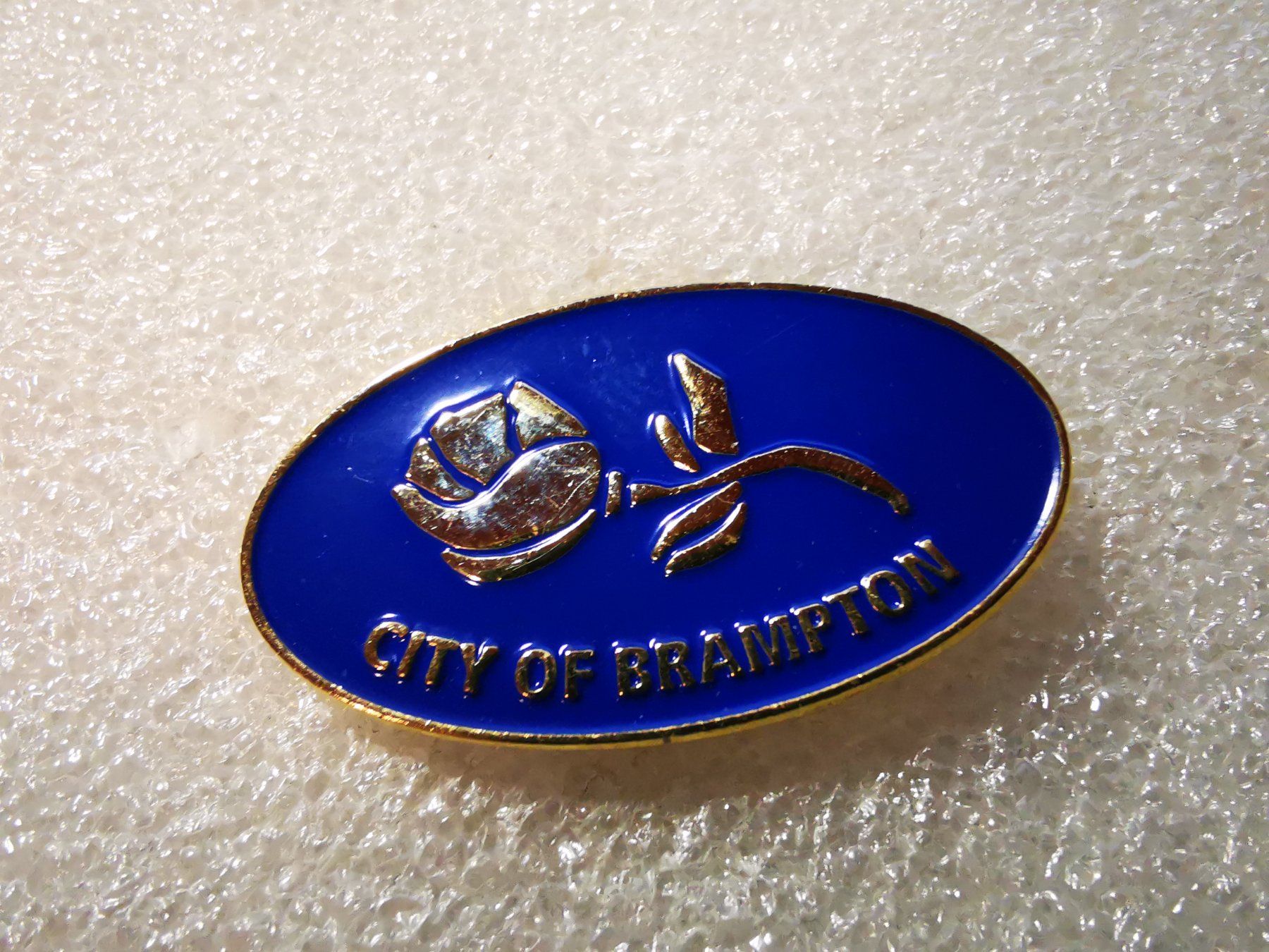 Plaquettes & Badges: Ansteckpin 6: City of Brampton – D'occasion à Oppligen par Pin-Fall-Shop