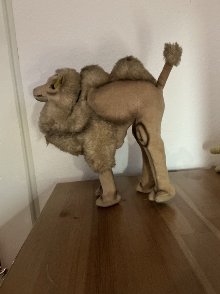 Steiff Giocattoli: Steiff Cosy Kamel Nr 4890/28 – Usato da Basel venduto da Ajscha7o1 1