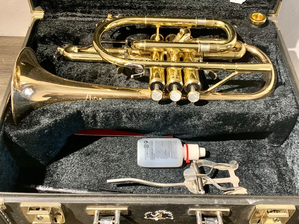 Yamaha Xeno Kaufen auf Ricardo