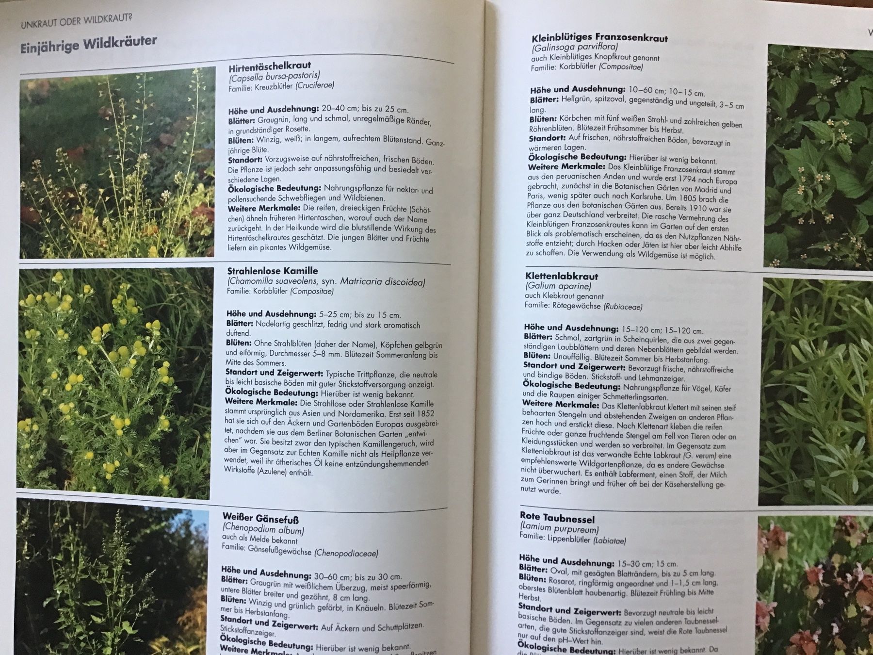 Libri: Der gesunde Biogarten – Usato da Kirchenthurnen venduto da Gluecksbrief 4