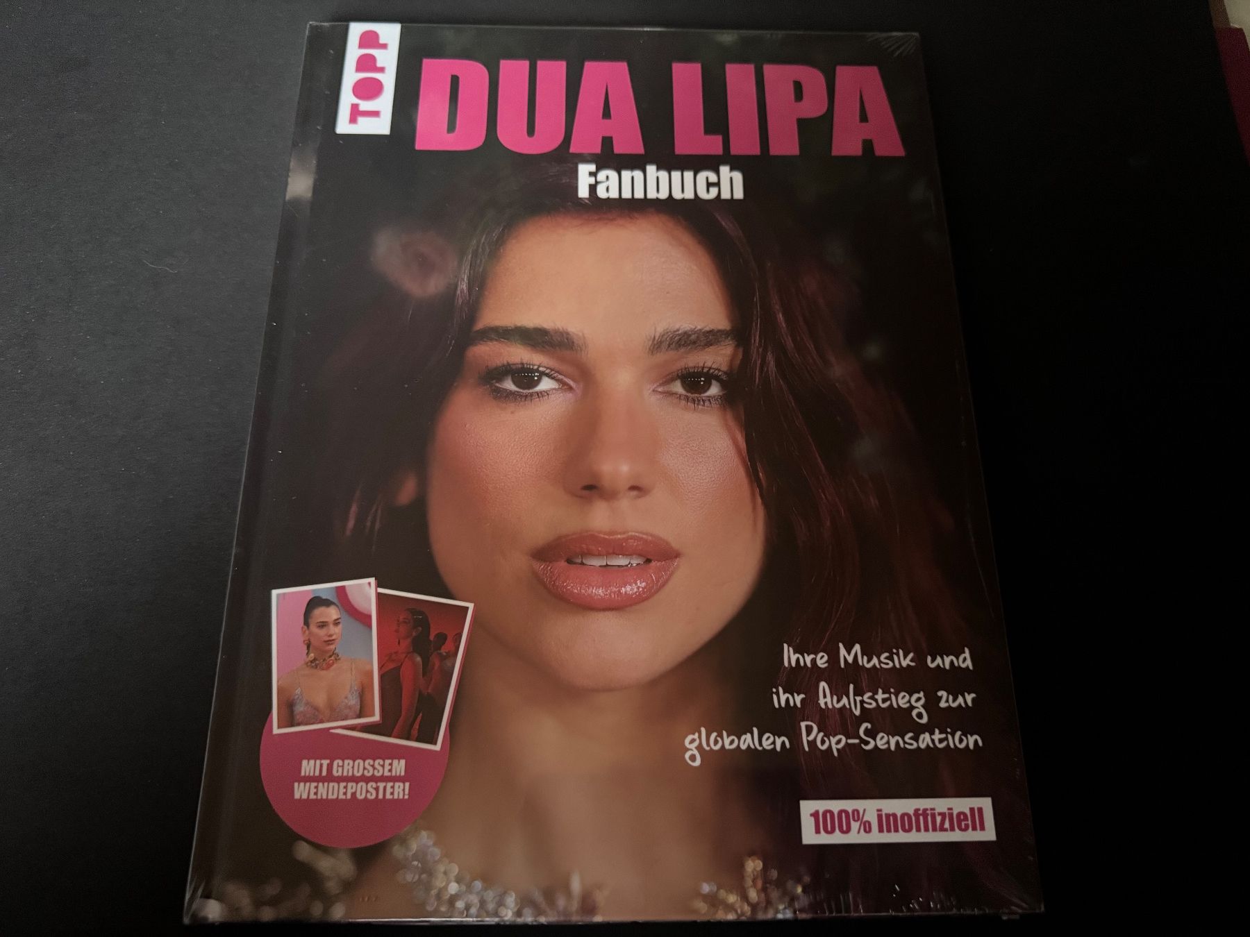 Livres: DUA LIPA FANBUCH – Neuf avec emballage d'origine à Hägendorf par bri_v995