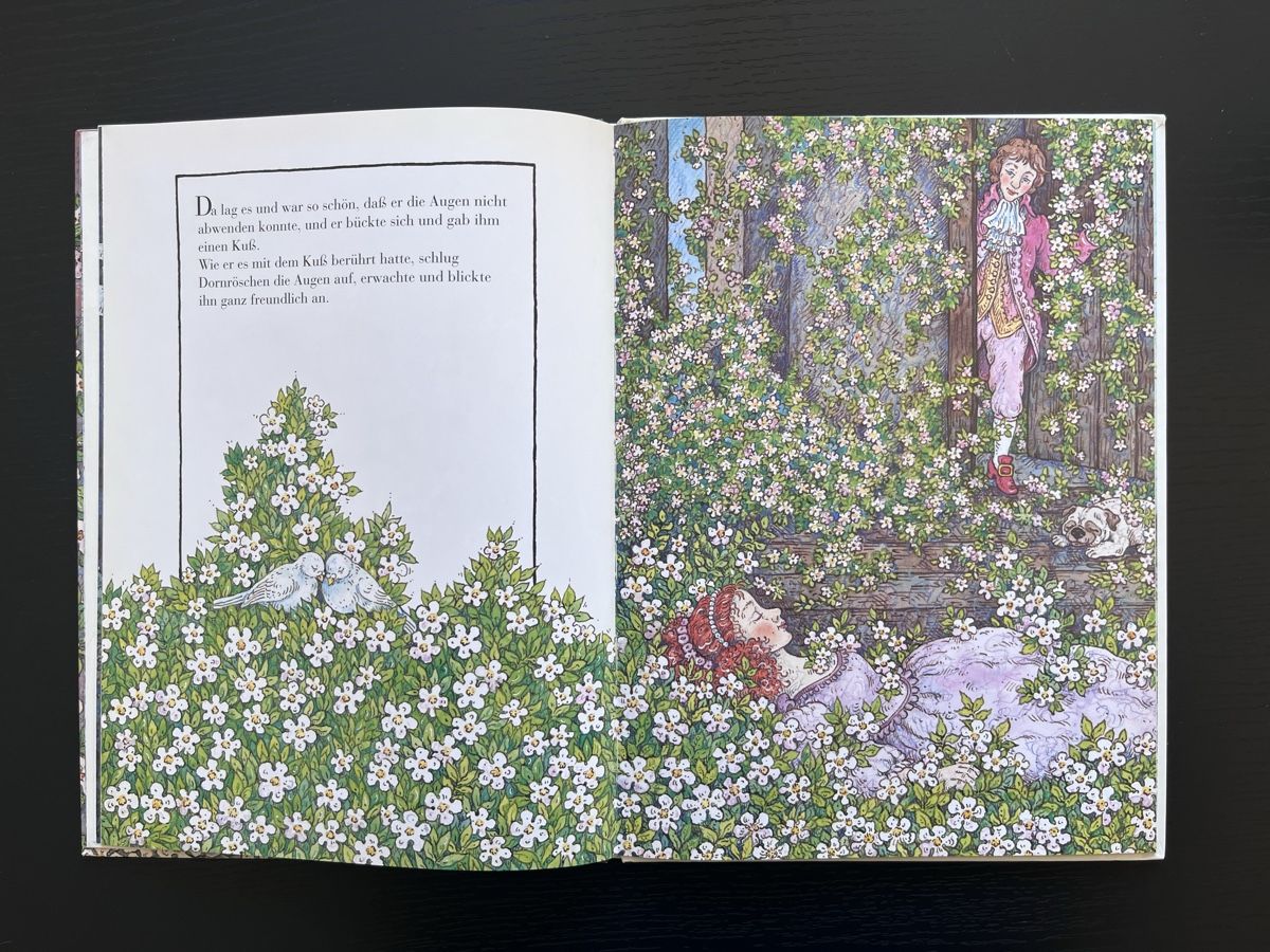 Libri: Dornröschen Bilderbuch, Märchen, 1995 – Usato da Basel venduto da Nath- 5