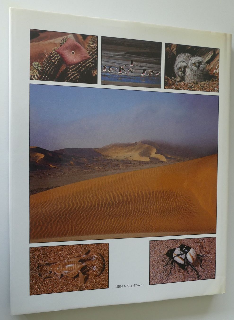 Libri: Buch – Usato da Dietlikon venduto da kes_j6d7 1