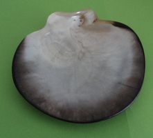 Perlmuttschale