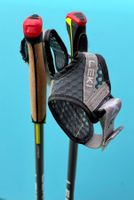 Nordic Walking Stöcke LEKI Carbon