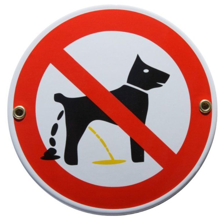 Insegne: Emailschild - Hunde Toilette Verboten – Nuovo e nell'imballaggio originale da Ennetbürgen venduto da open24shop