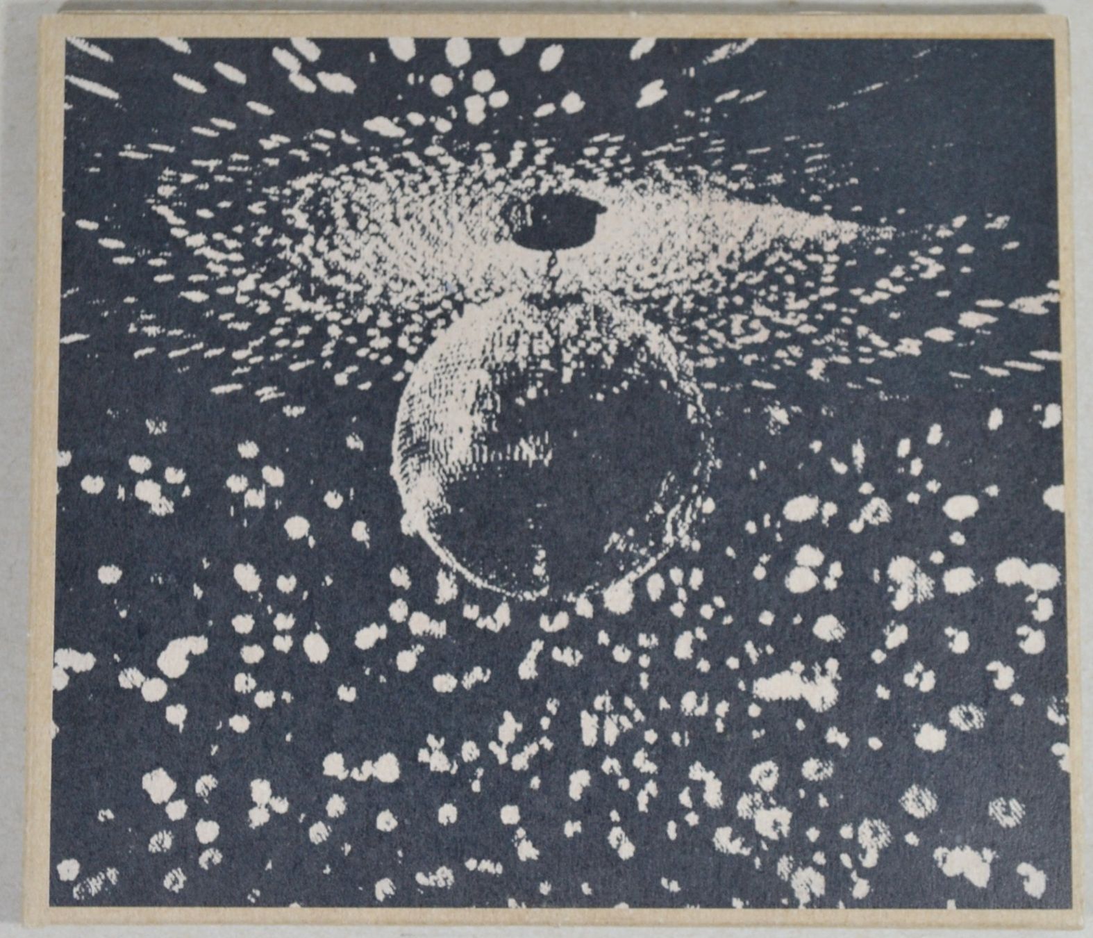 CD: CD: NEIL YOUNG - Mirror Ball – Usato da Frenkendorf venduto da Yard-Sale-2000