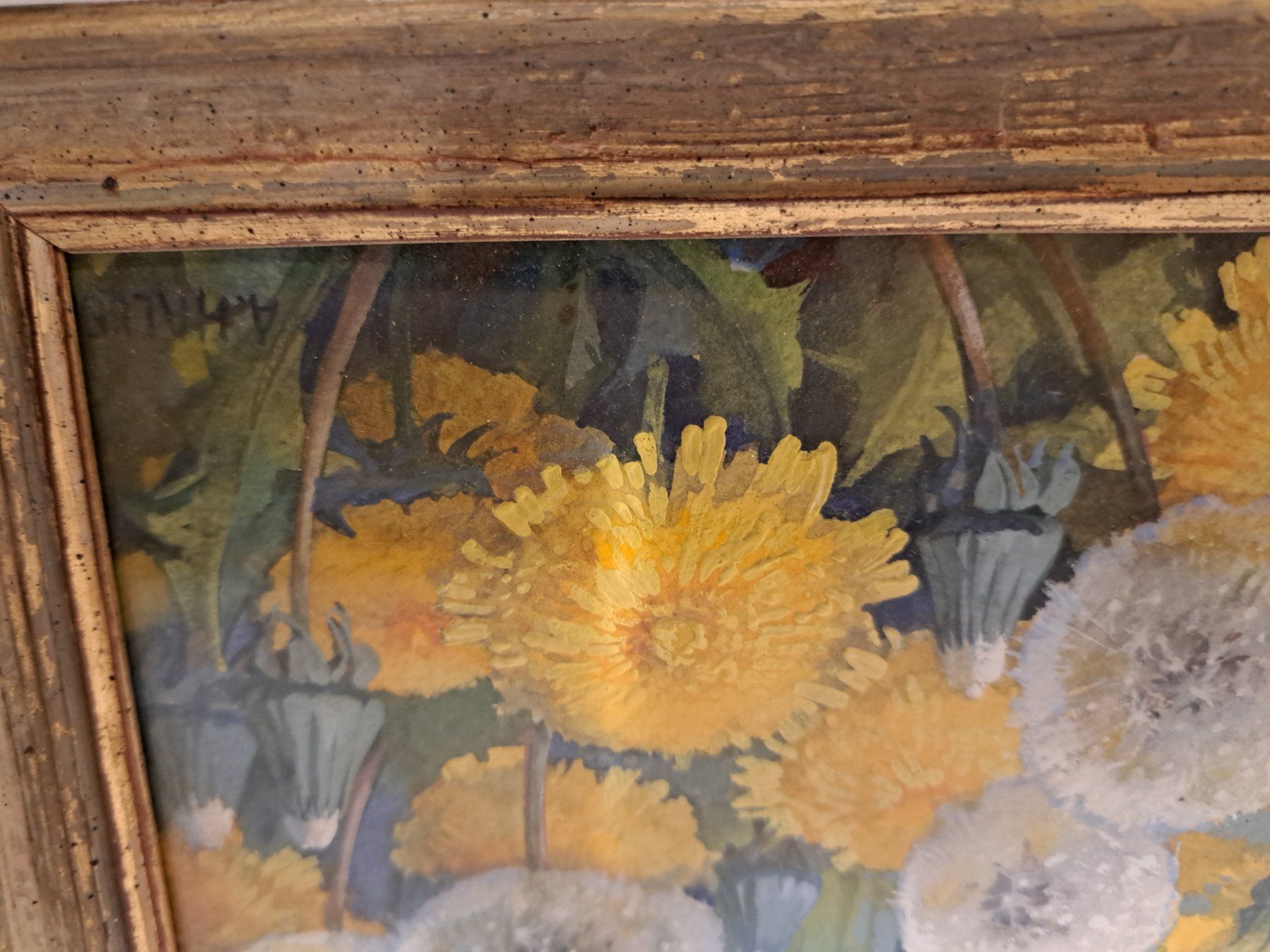 Foto & Immagini: 2x Blumenbilder signiert A. Haller – Usato da Belp venduto da deal-now 2