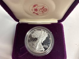 1 Unze Silber American Eagle 1989 mit Originalbox
