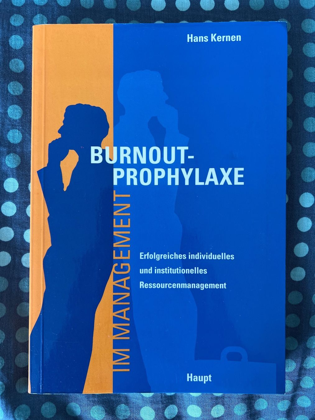 Libri: Burnout-Prophylaxe von Hans Kernen – Nuovo (secondo la descrizione) da Biel-Benken BL venduto da efd4105