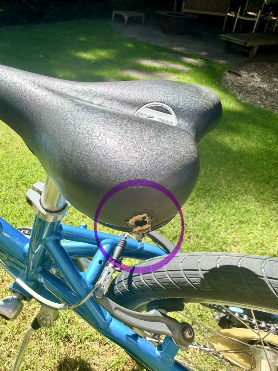 Velos: KOKUA LIKEtoBIKE 20, gebraucht – Gebraucht aus Basel von Seimenboh 4