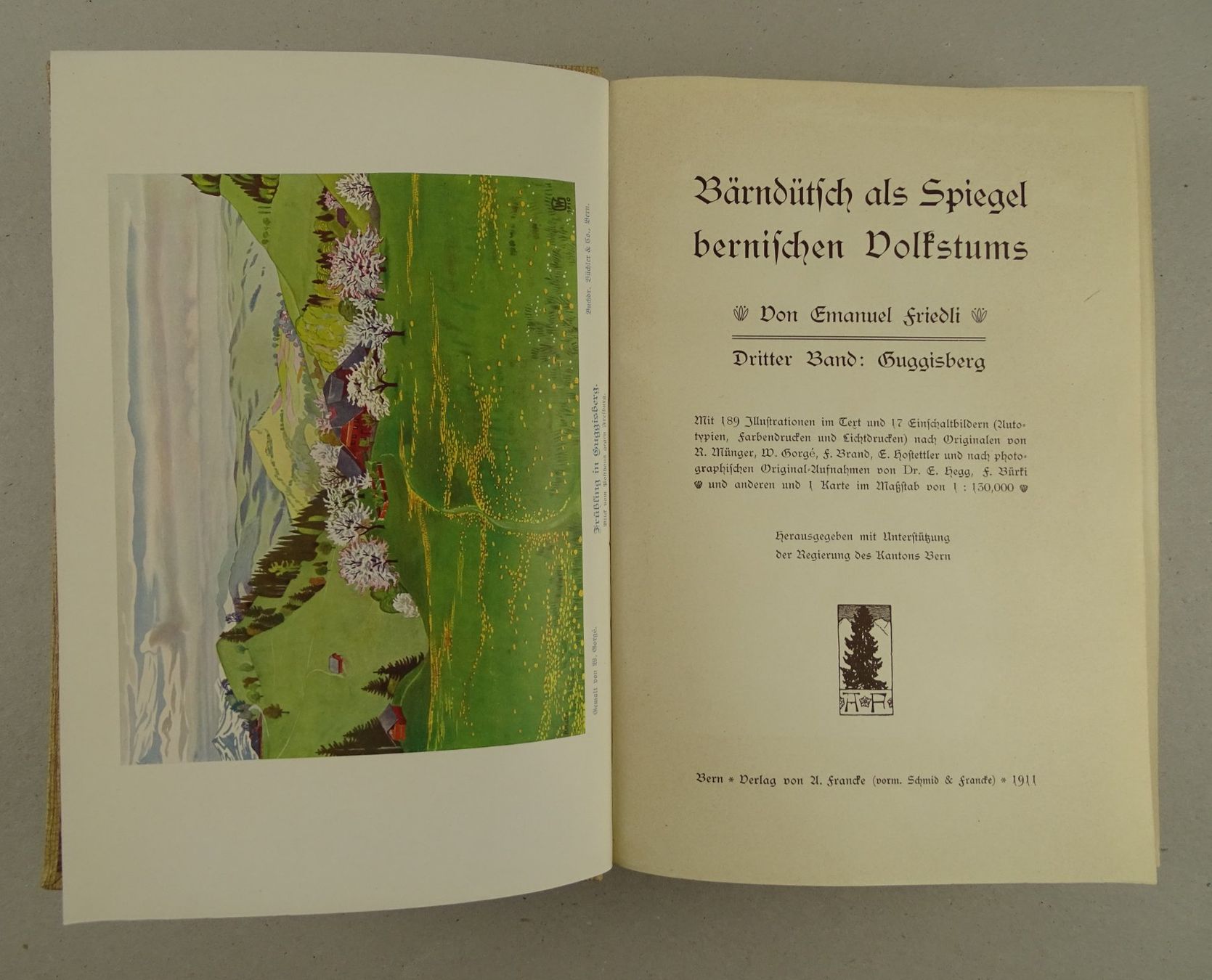 Libri: EMANUEL FRIEDLI: GUGGISBERG, 1911 – Usato da Grüningen venduto da Kartensammler 3