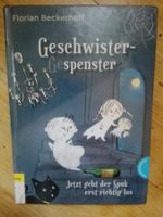 Geschwistergespenster - Jetzt geht der Spuk erst richtig los