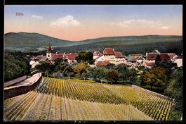 AK Bole, Blick vom Weinberg zum Ort