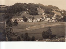 Bühler 1927