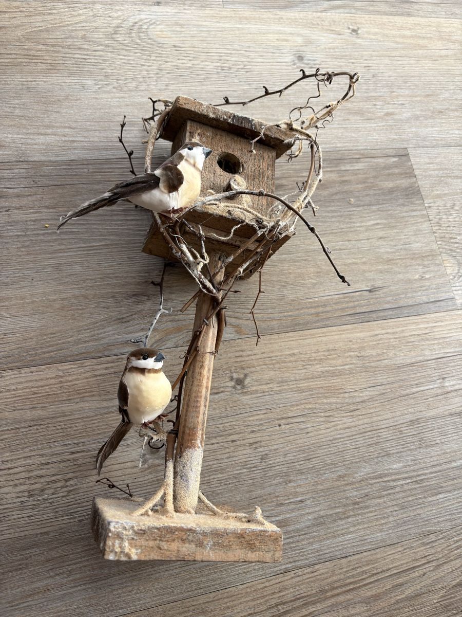 Tutte le decorazioni: Décoration : nichoir et oiseaux décoratifs – Usato da Zweisimmen venduto da Domii 5