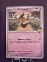 Hop's Phantump - Pokemon Ascended Heroes