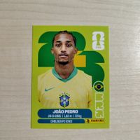 João PEDRO, BRA 16, Panini WM 2026