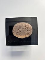 Médaille, presse-papiers 