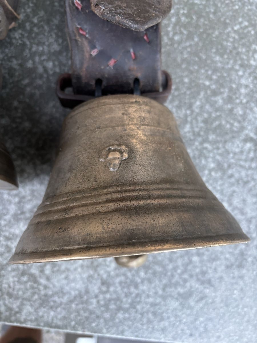 Campanacci mucche: 3 Wedeglöggli – Usato da Schangnau venduto da Roseggli82 3