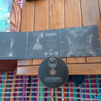 svartidaudi - flesh...(digi)