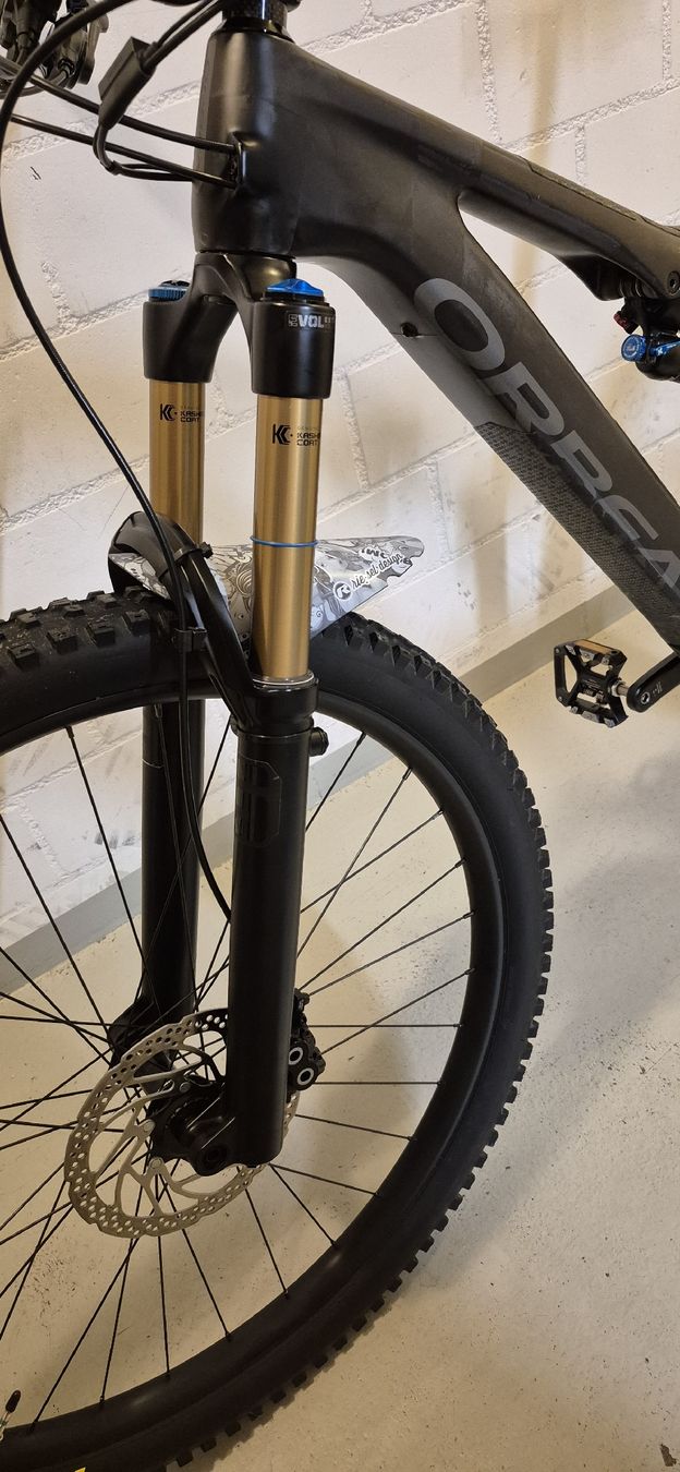 Orbea Biciclette: Orbea Rise M-Team Gr M inkl Range Extender – Usato da Dornach venduto da Signs0 3