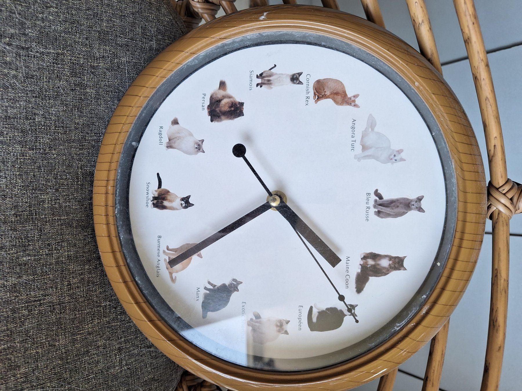 Orologi da terra & Orologi da parete: Pendule – Nuovo (secondo la descrizione) da Kloten venduto da flo_r5hm 2