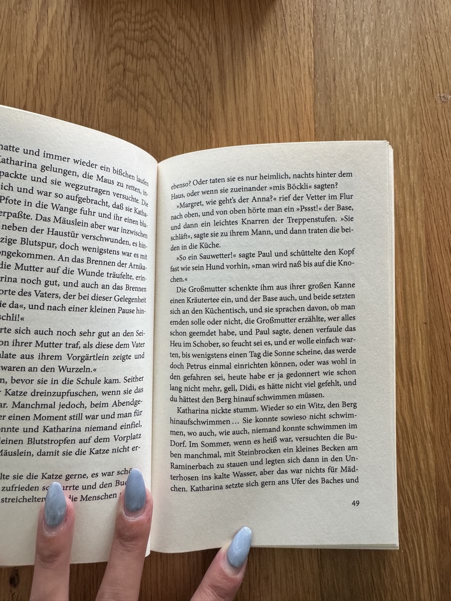 Libri: Franz Hohler - Die Steinflut, Novelle – Nuovo (secondo la descrizione) da Bremgarten AG venduto da val_ch 2