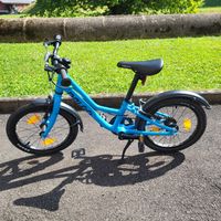Naloo Chameleon Kindervelo 16 Zoll