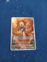 Terrakium/Terrakion Illustration Rare (DE) White Flare 135