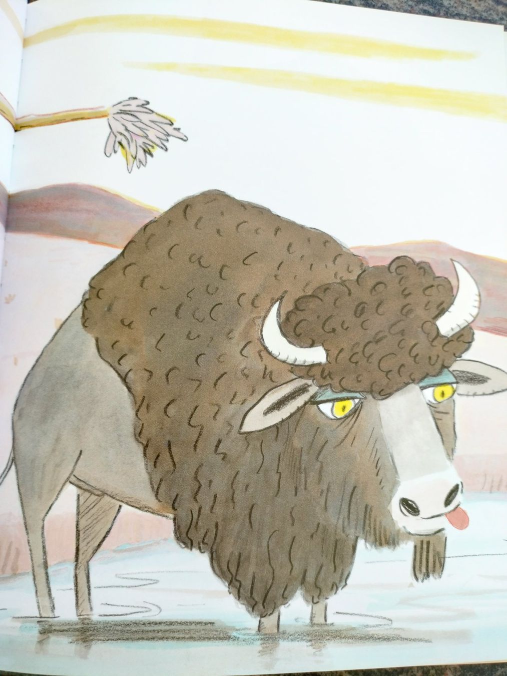 Libri: Le bison Catharina Valckx – Usato da Cortaillod venduto da rozinna 5