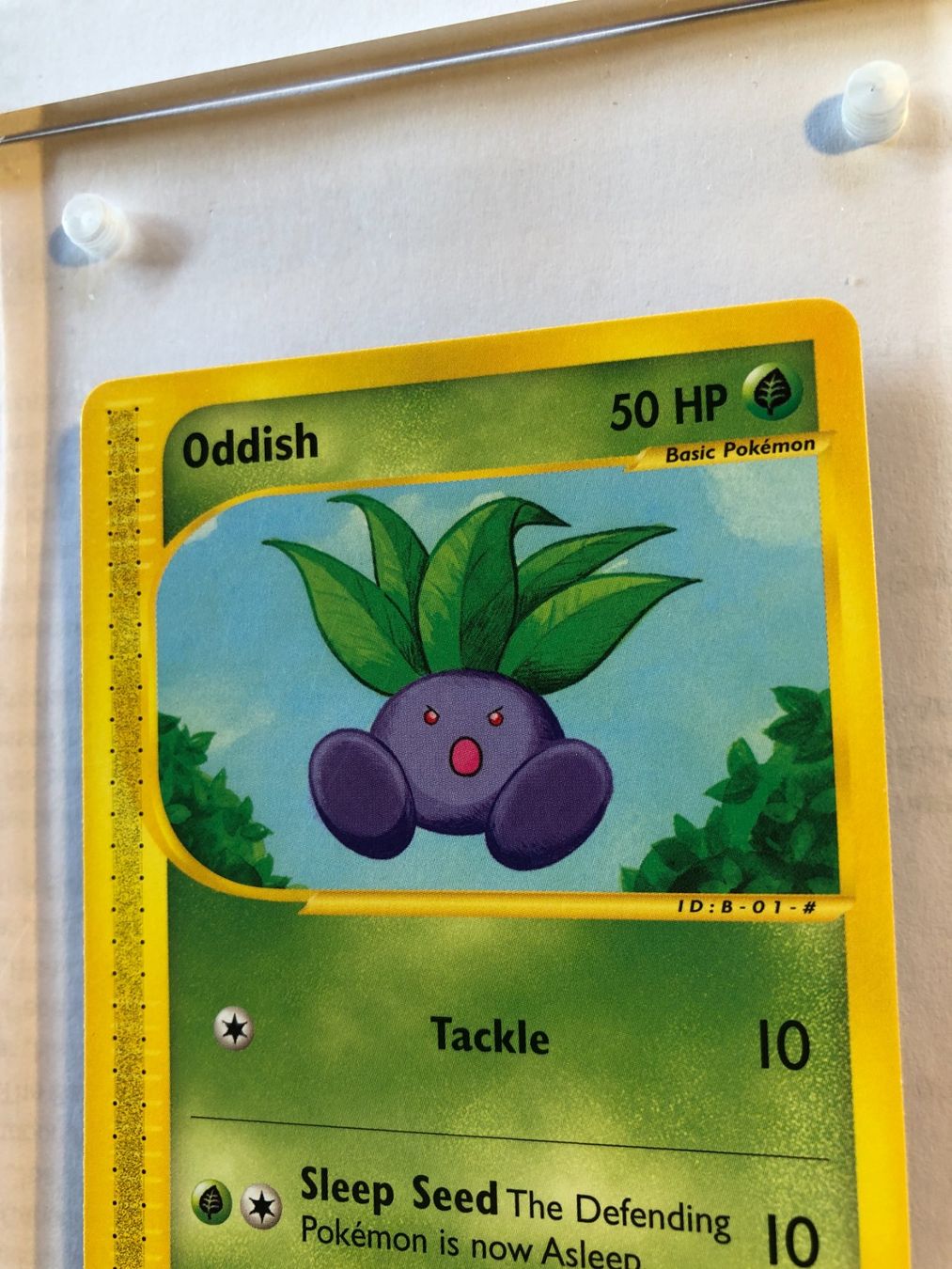 Carte collezionabili: Oddish Expedition - MINT - ab 1.- – Usato da Giubiasco venduto da dan_pr8b 3
