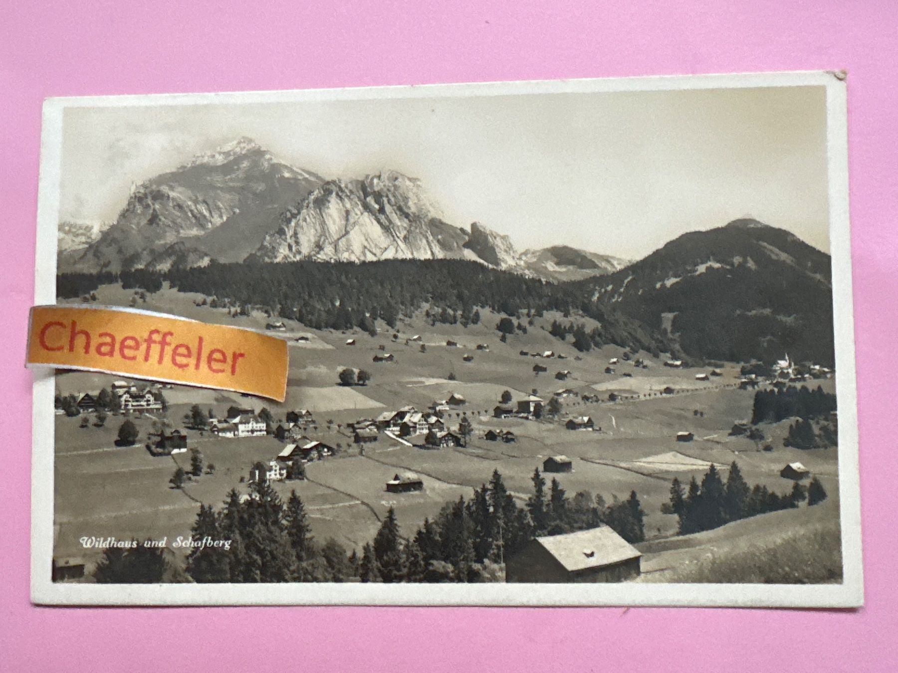 Ansichtskarten: 1925 Wildhaus und Schafberg – Gebraucht aus Zürich von Chaeffeler