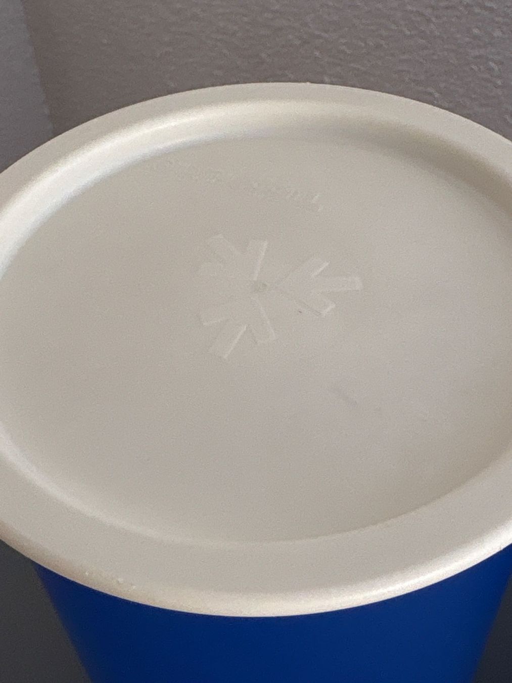 Tupperware Contenitori & Simili: Tupperware Behälter, blau, 2 Stück, 1.25 L**************** – Usato da Ibach venduto da lisch3 1